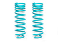 DOBINSONS COIL SPRING PAIR (C21-419V)