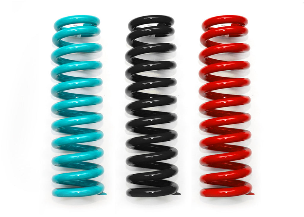 DOBINSONS COIL SPRING PAIR (C59-822)