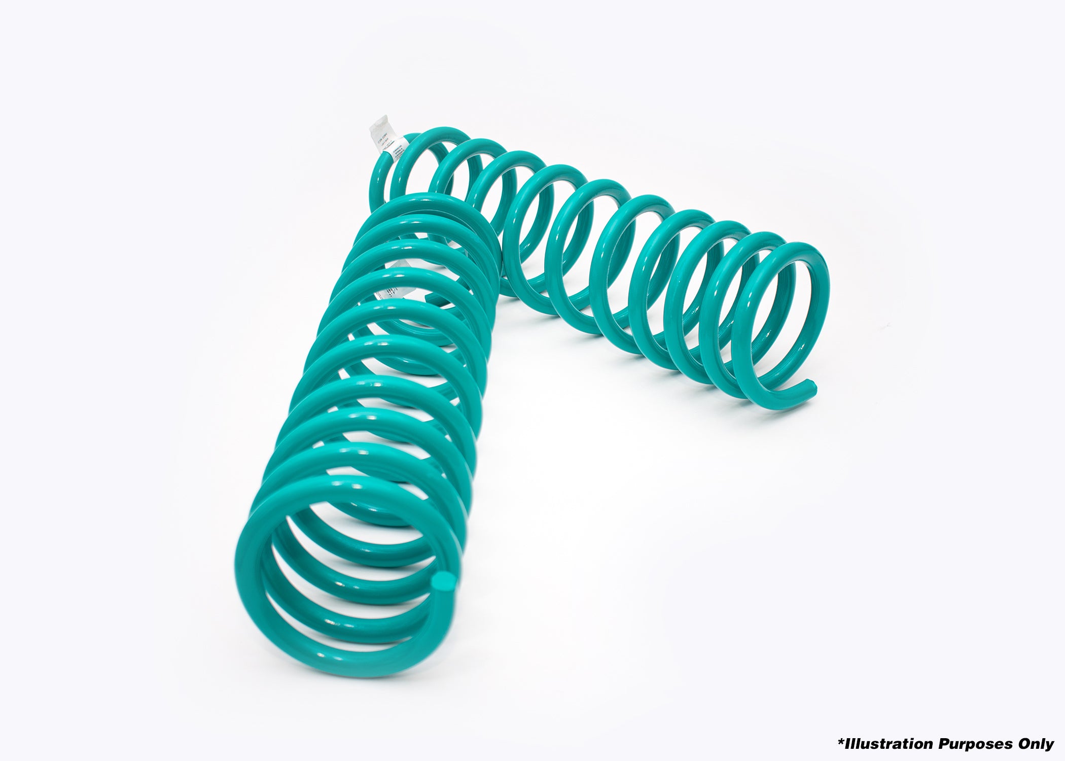 DOBINSONS COIL SPRING PAIR (C19-348)